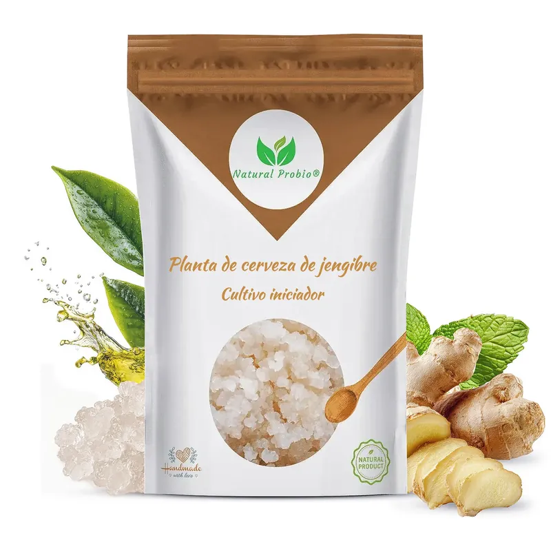 Sobre de Ginger Beer Plant, planta de cerveza de jengibre
