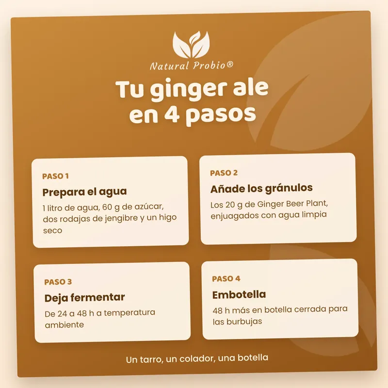Receta del ginger ale casero en 4 pasos