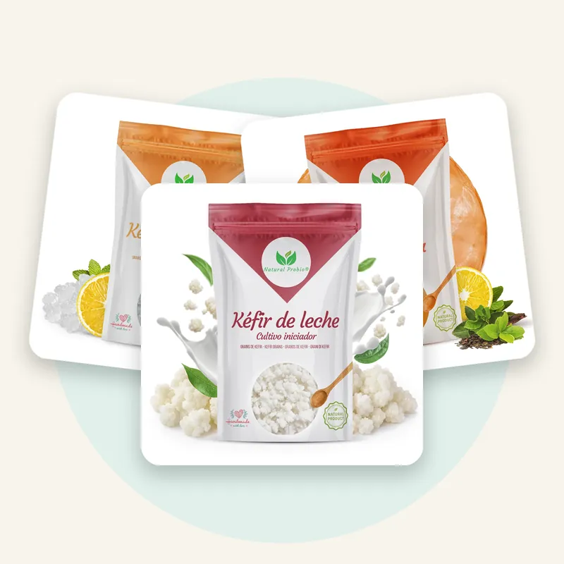 Kit completo de kéfir de agua, kéfir de leche y SCOBY de kombucha
