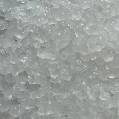 Nódulos de kéfir de agua translúcidos vistos de cerca