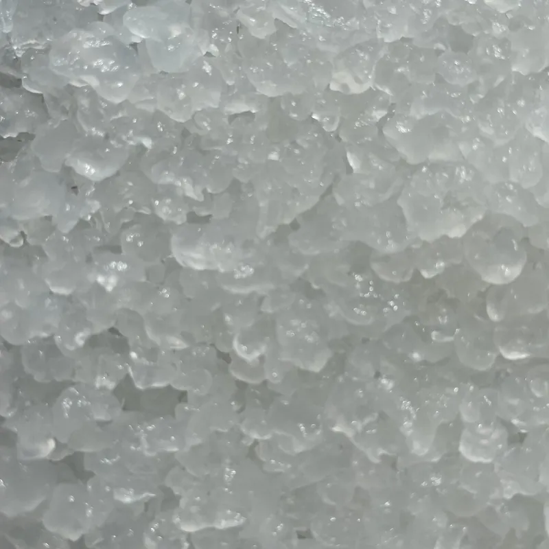 Nódulos de kéfir de agua translúcidos