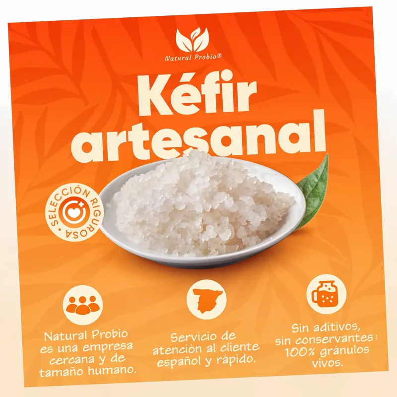 Kéfir de agua artesanal