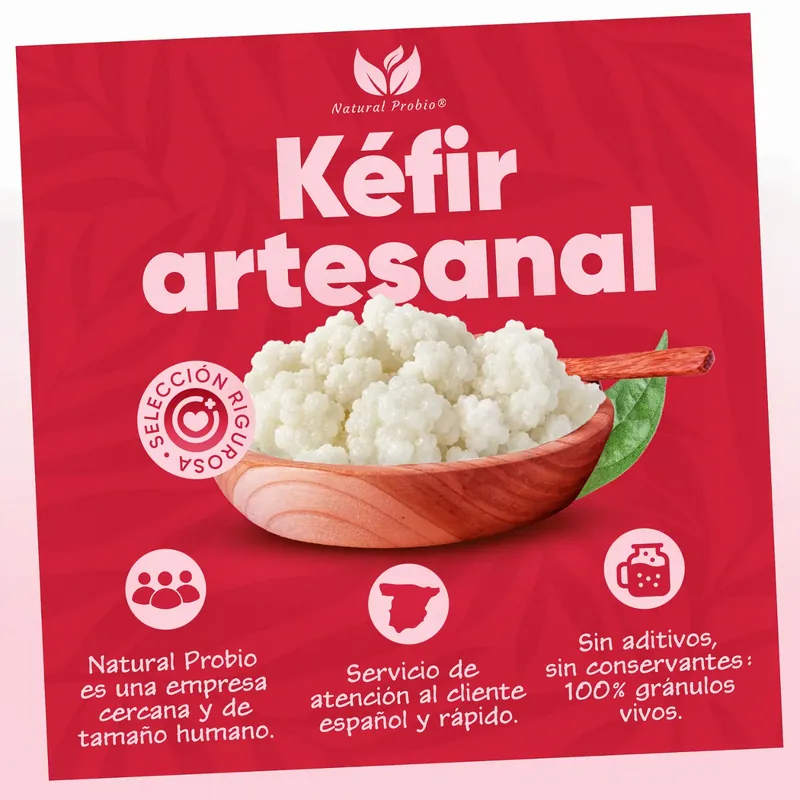Kéfir de leche artesanal, sin aditivos ni conservantes