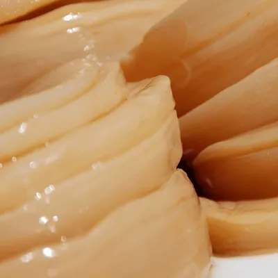 SCOBY de kombucha visto de cerca