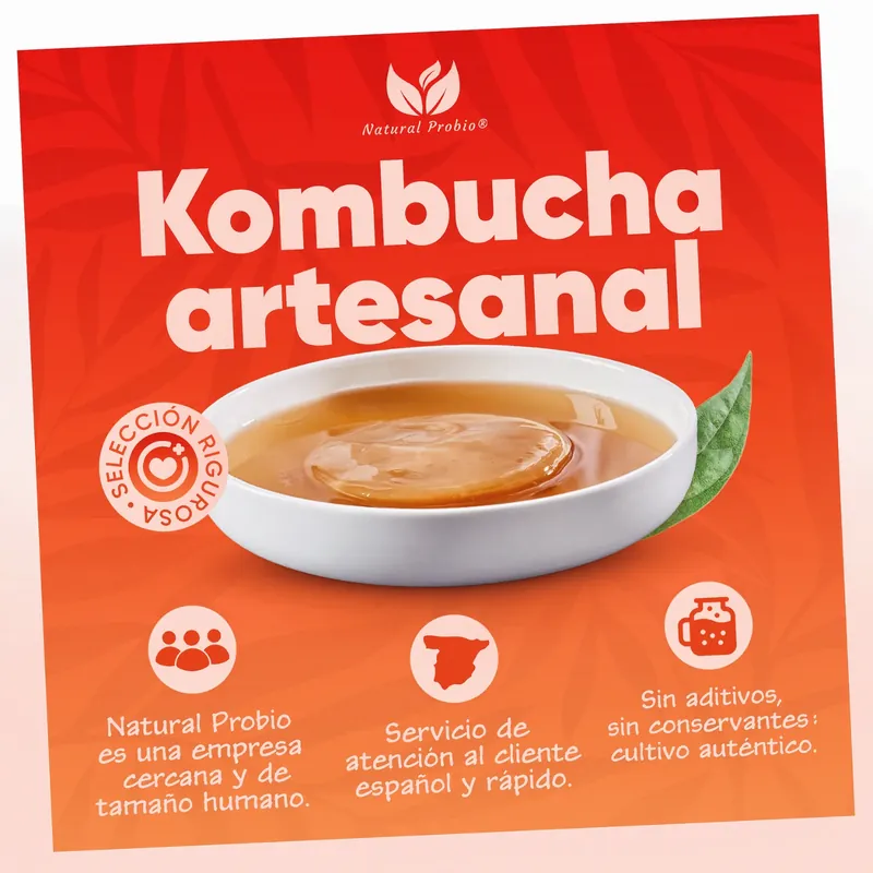 Kombucha artesanal, cultivo auténtico
