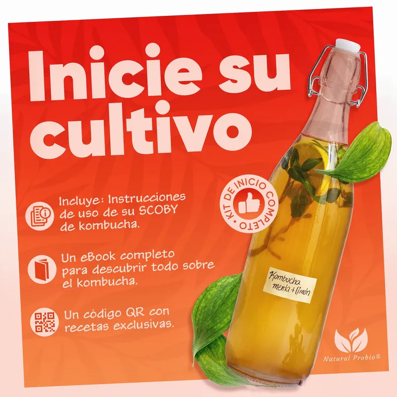 Kit de inicio de kombucha con ebook y recetas